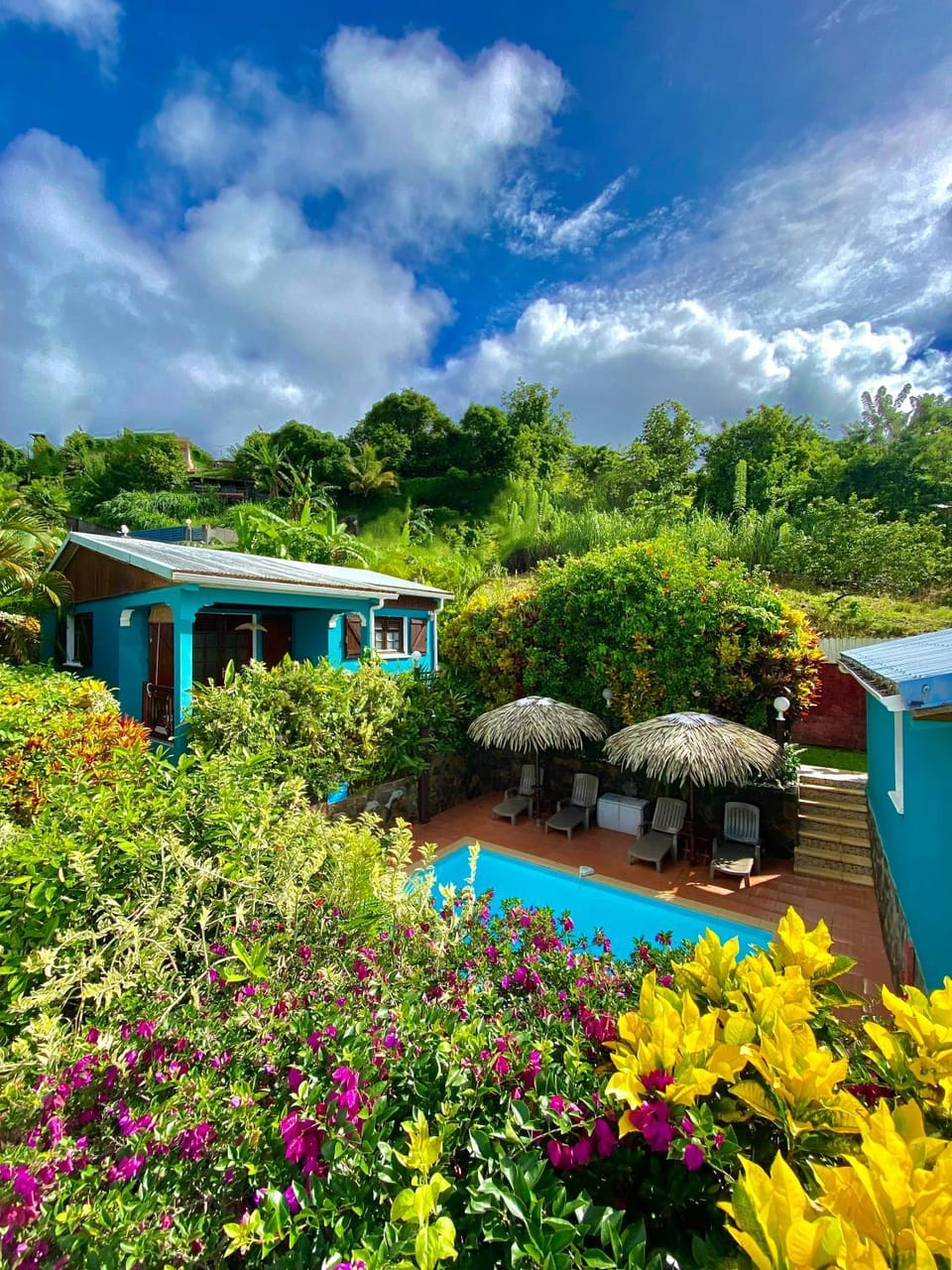 Day, Garden view