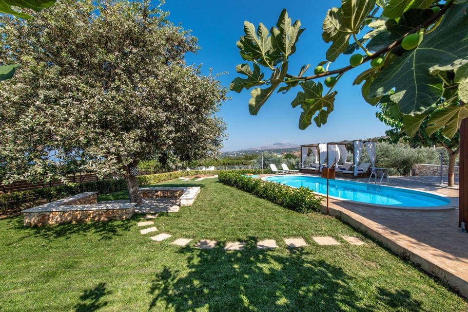 Day, Natural landscape, Garden, Garden view, Pool view, Swimming pool, sunbed