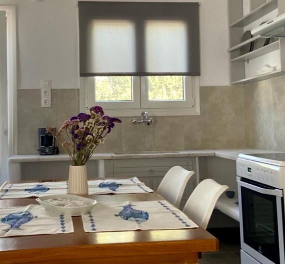 Villa Ambelas - Traditional House House in Paros, Greece