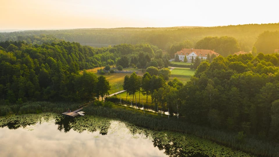 Bird's eye view, Garden