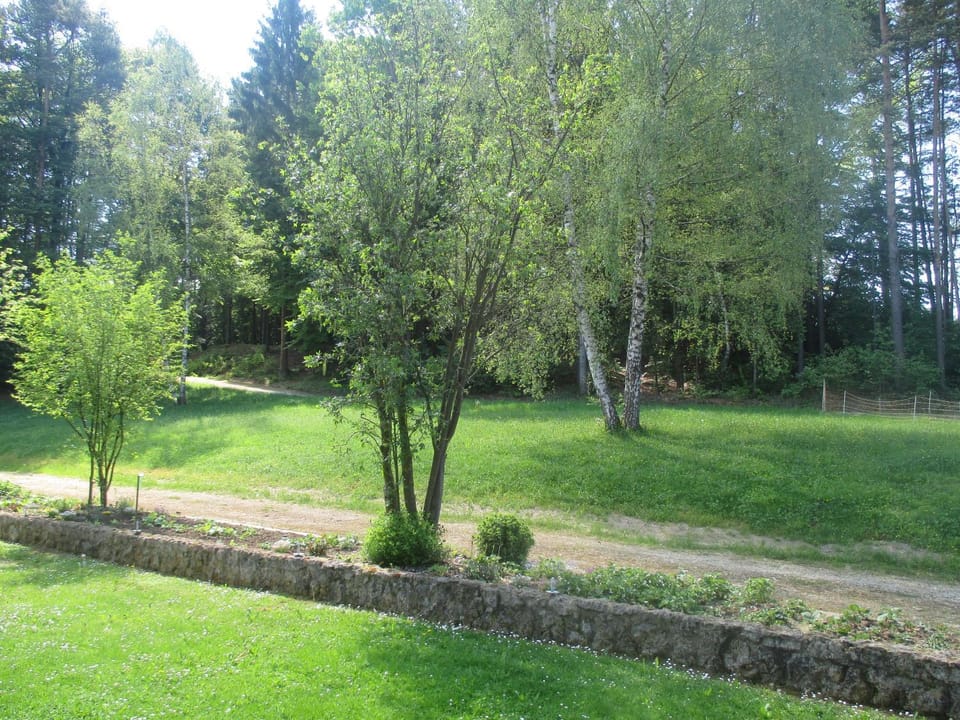 View (from property/room), Garden view