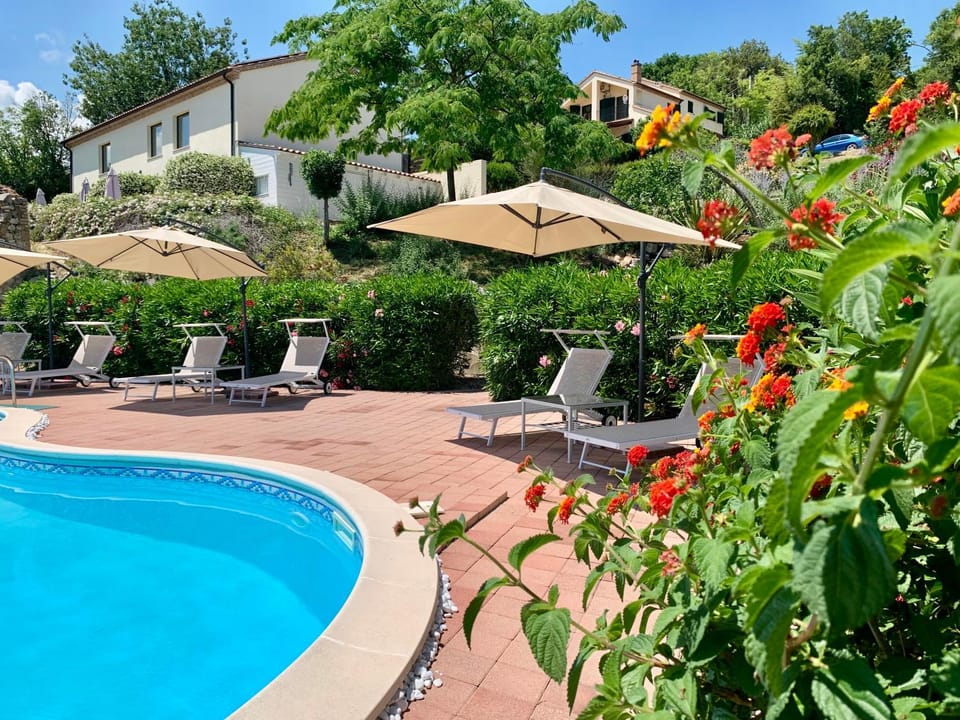 Natural landscape, Summer, Garden, View (from property/room), Pool view, Swimming pool, sunbed