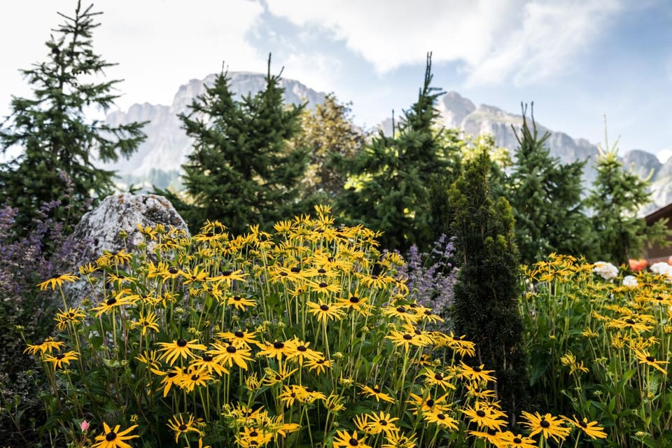 Natural landscape, Garden, Decorative detail
