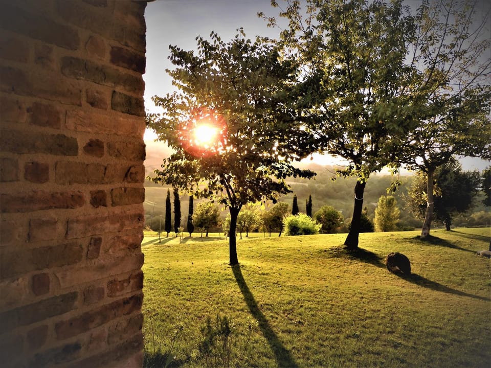Garden, Garden