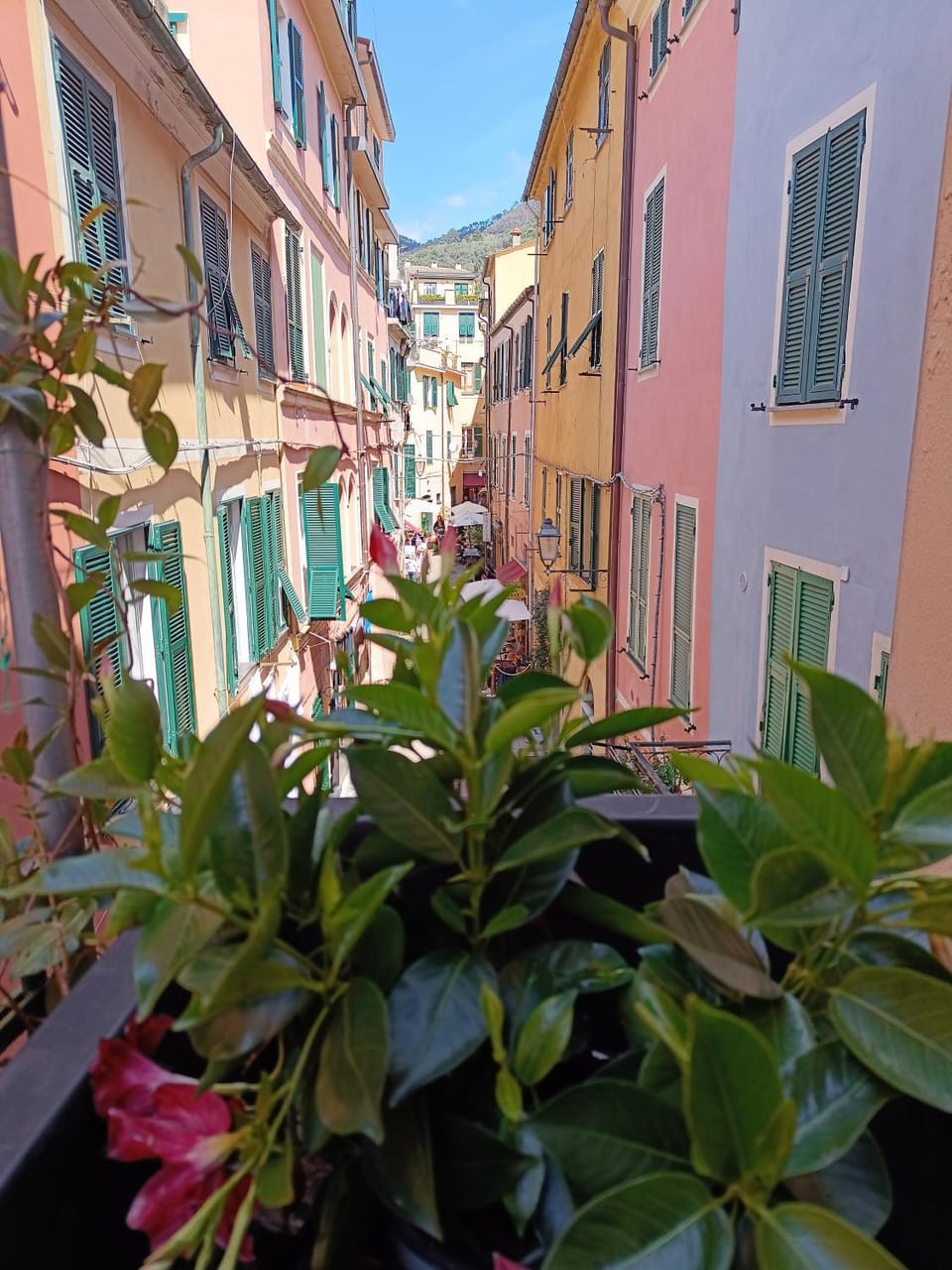 Il Balconcino sul carugio Apartment in Monterosso al Mare