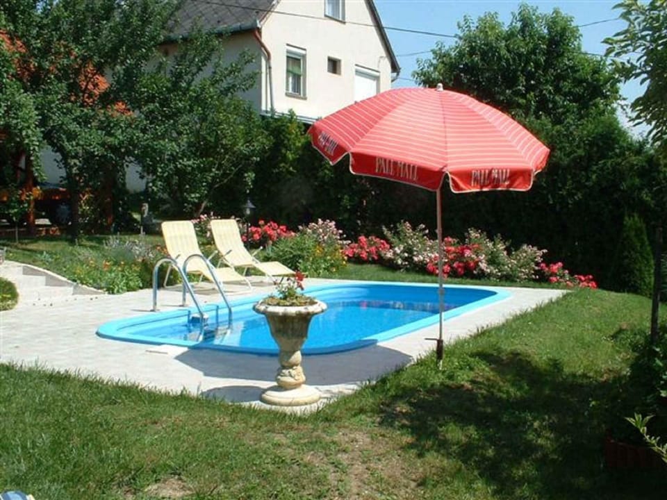 Summer, Garden, Swimming pool, sunbed