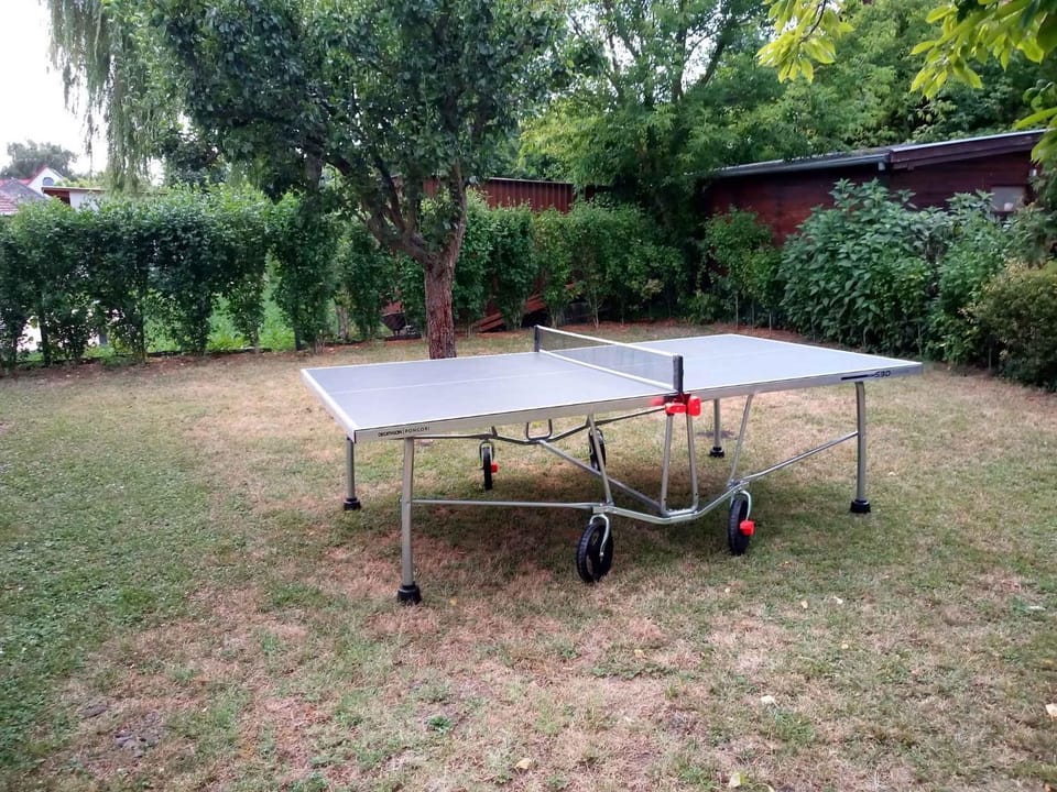 Summer, Table tennis