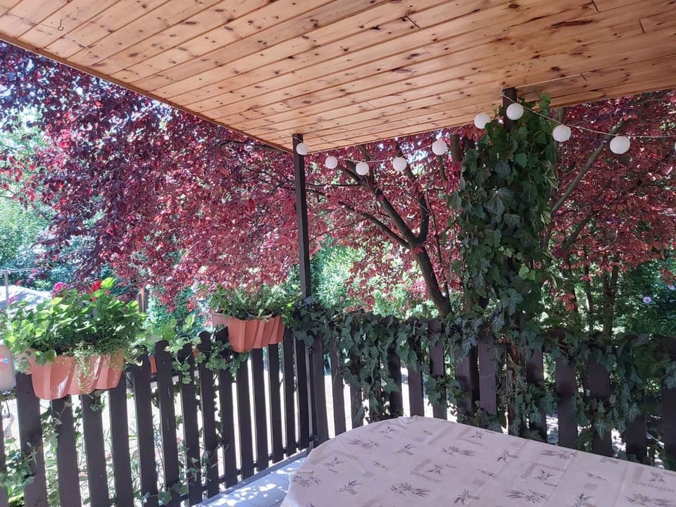 Summer, Garden, Balcony/Terrace