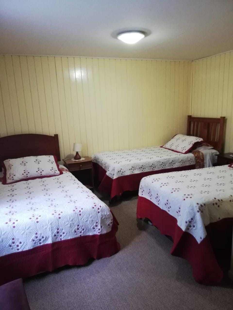 Hostal El mirador 2 Bed and Breakfast in Los Lagos, Chile
