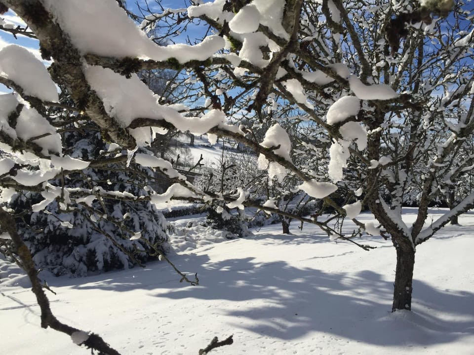 Chambres d'Hôtes Le Moulin du Pont Bed and Breakfast in Auvergne-Rhône-Alpes