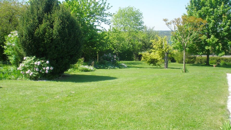 Garden, Garden, Garden view