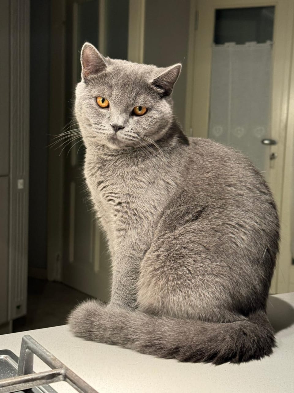 B&B La Terrazza Bed and Breakfast in Province of Brescia