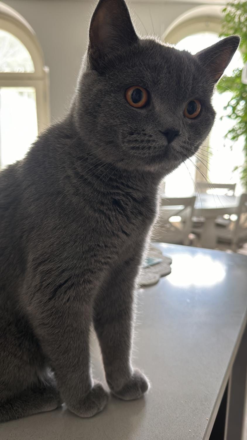 B&B La Terrazza Bed and Breakfast in Province of Brescia