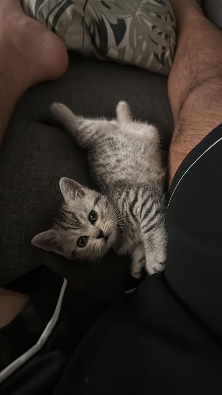 B&B La Terrazza Bed and Breakfast in Province of Brescia