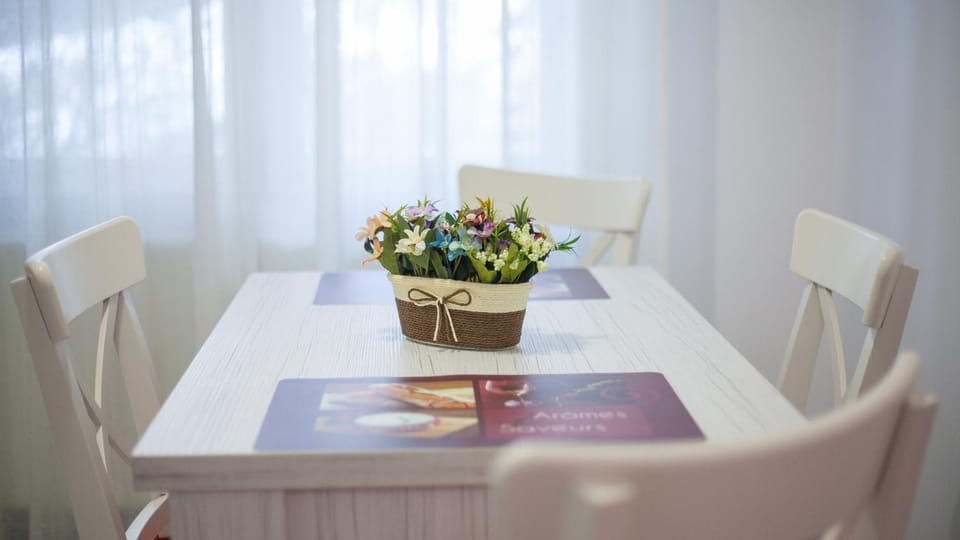 Apartament Elena Apartment in Romania