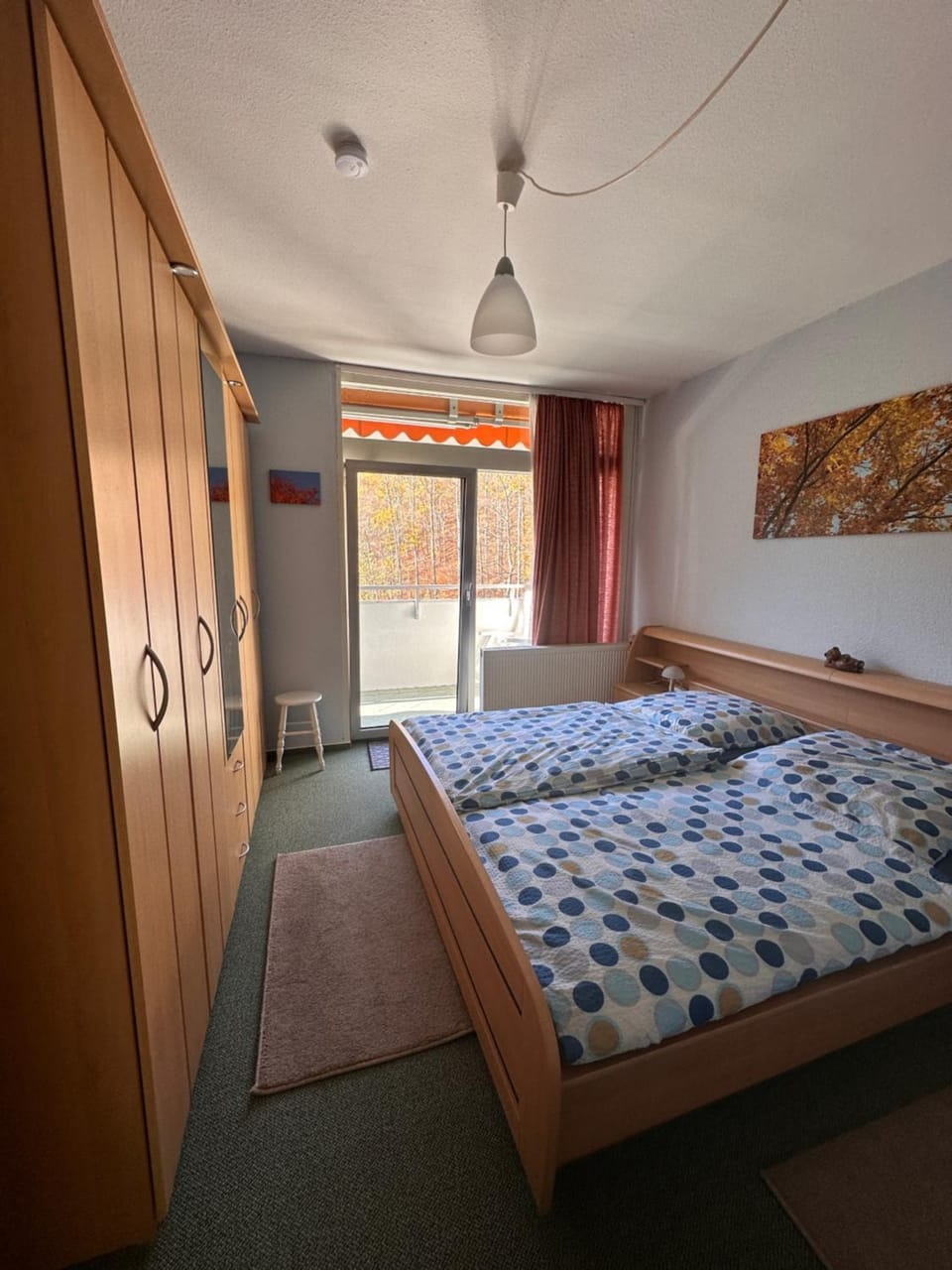 Bed, Photo of the whole room, Bedroom, wardrobe