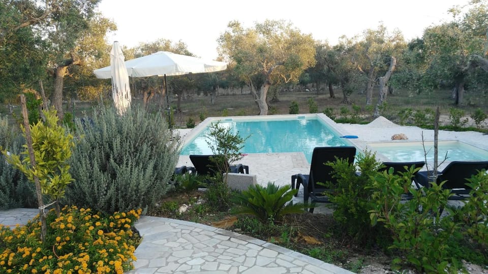 Swimming pool, Swimming pool