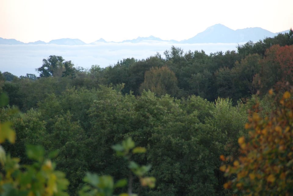 Natural landscape, On site