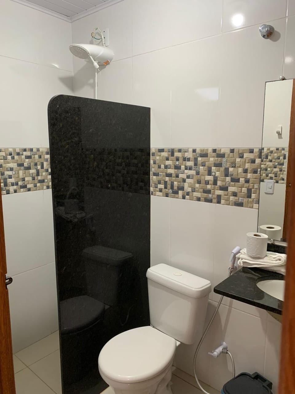Shower, Toilet, Bathroom, bidet