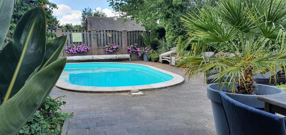 Swimming pool, Swimming pool