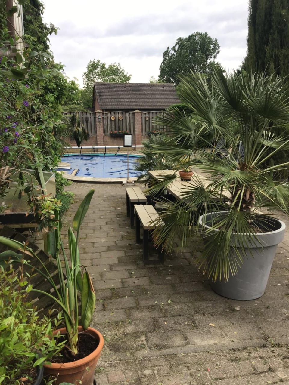 Garden, Swimming pool