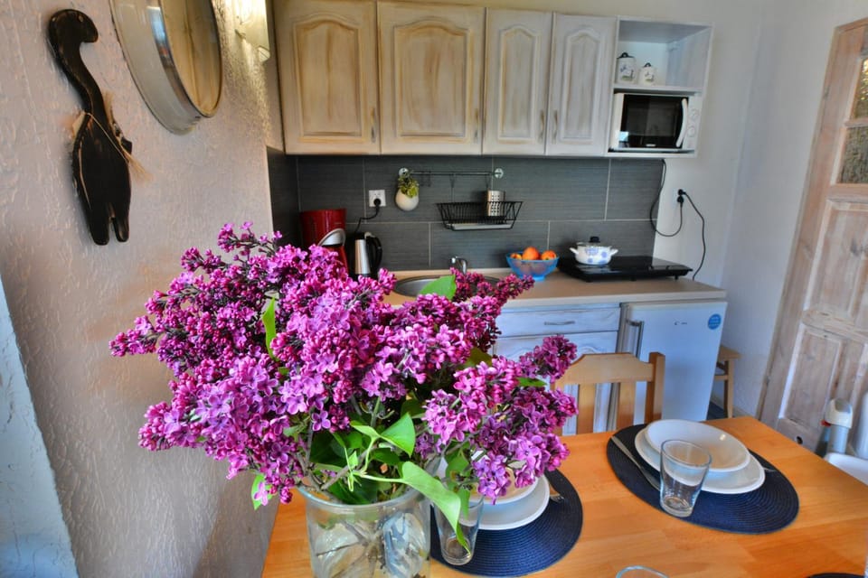Coffee/tea facilities, Kitchen or kitchenette, Dining area, pet friendly, stove