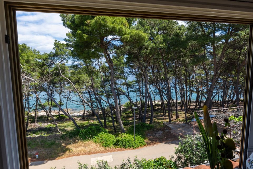 Janus apartments Apartment in Vrboska