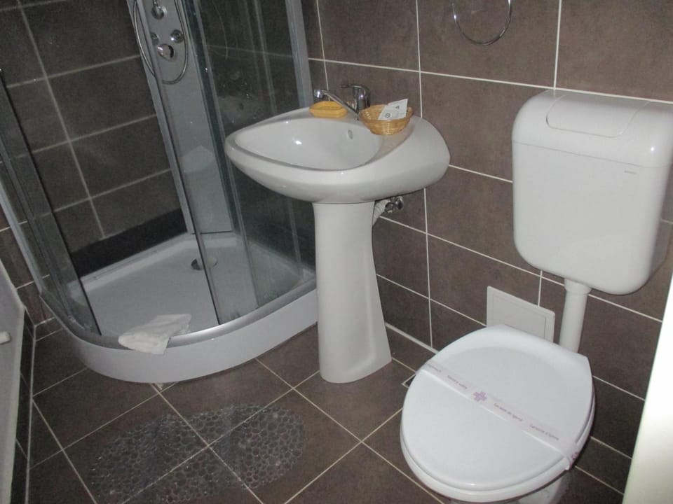 Pensiunea Boema Bed and Breakfast in Cluj-Napoca