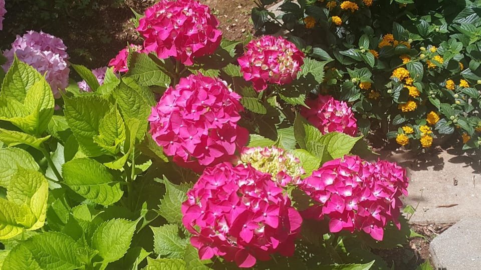 Apartmani A1 Marina, Okrug Gornji Apartment in Okrug Gornji