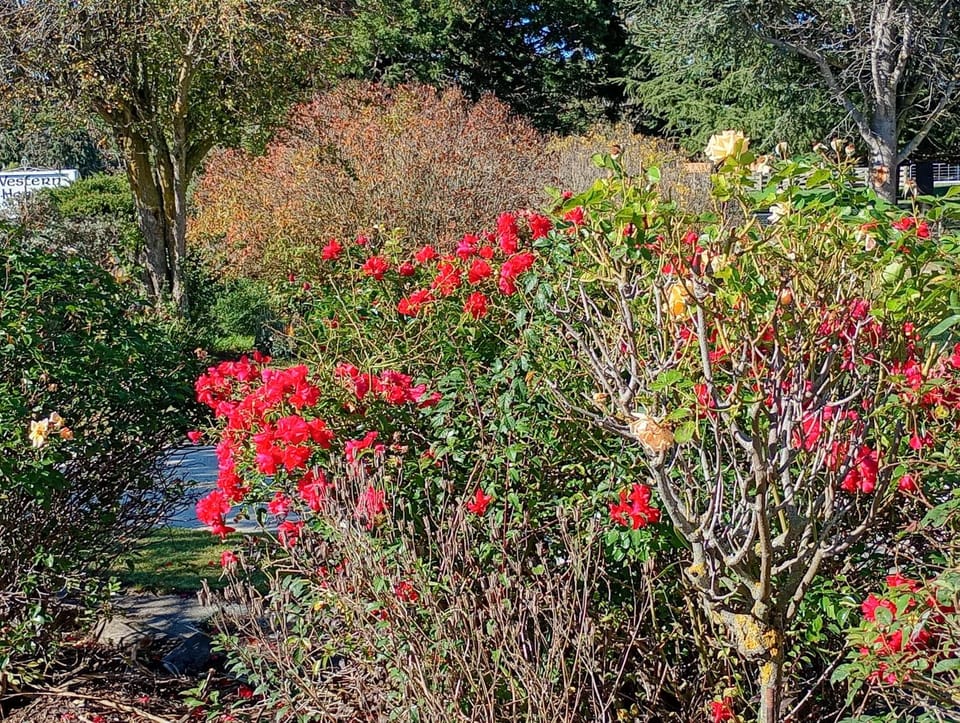Garden, Garden view