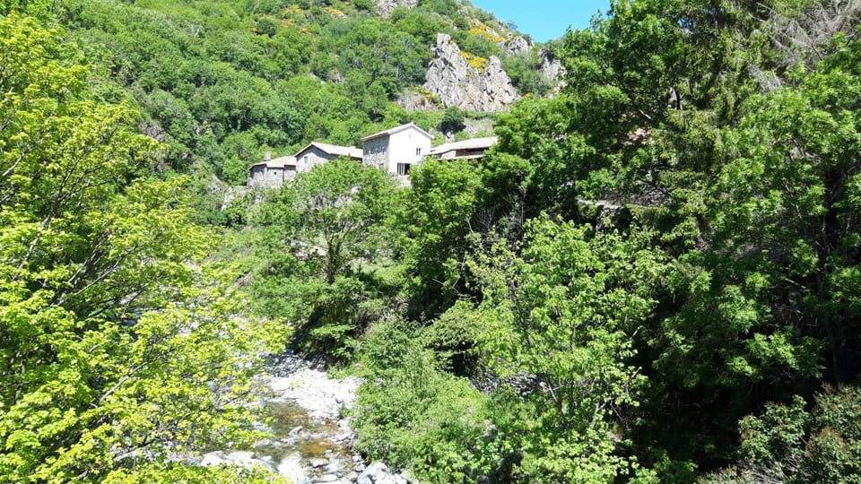 Natural landscape, River view