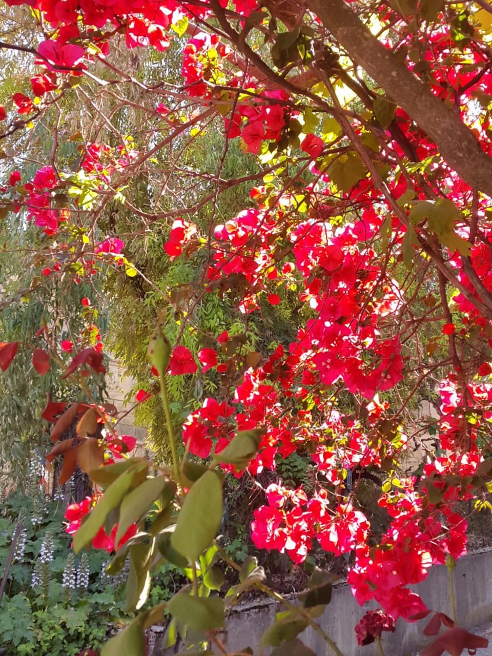Spring, Summer, On site
