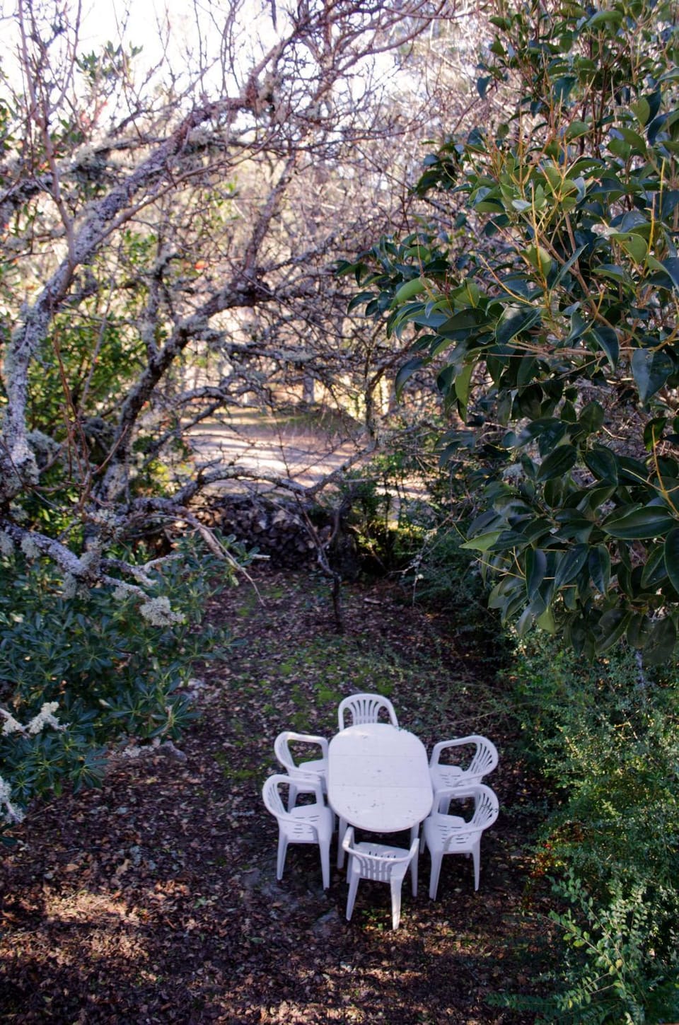 Patio, Garden, Garden view
