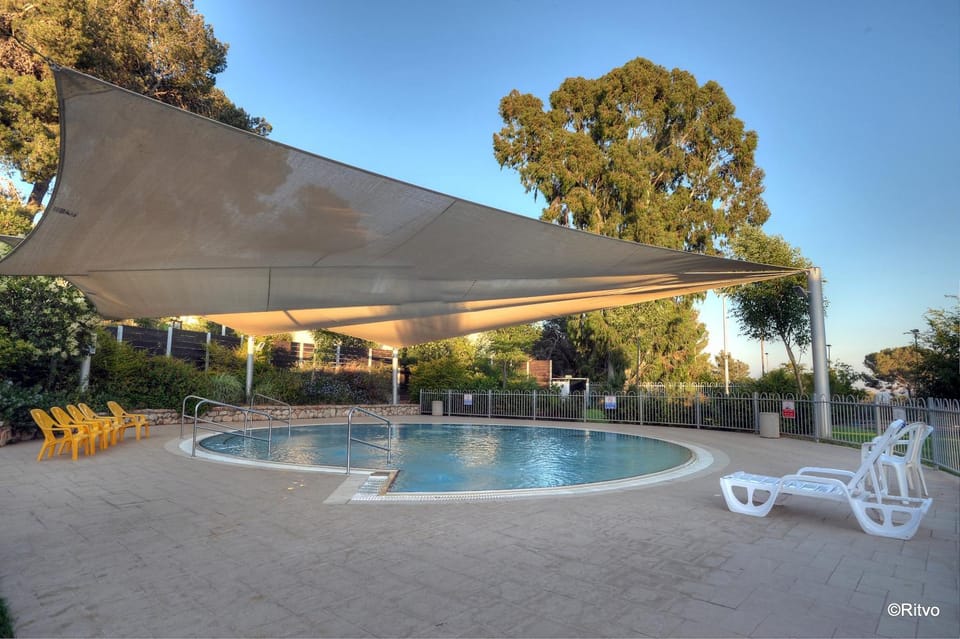Day, Pool view, Swimming pool, sunbed