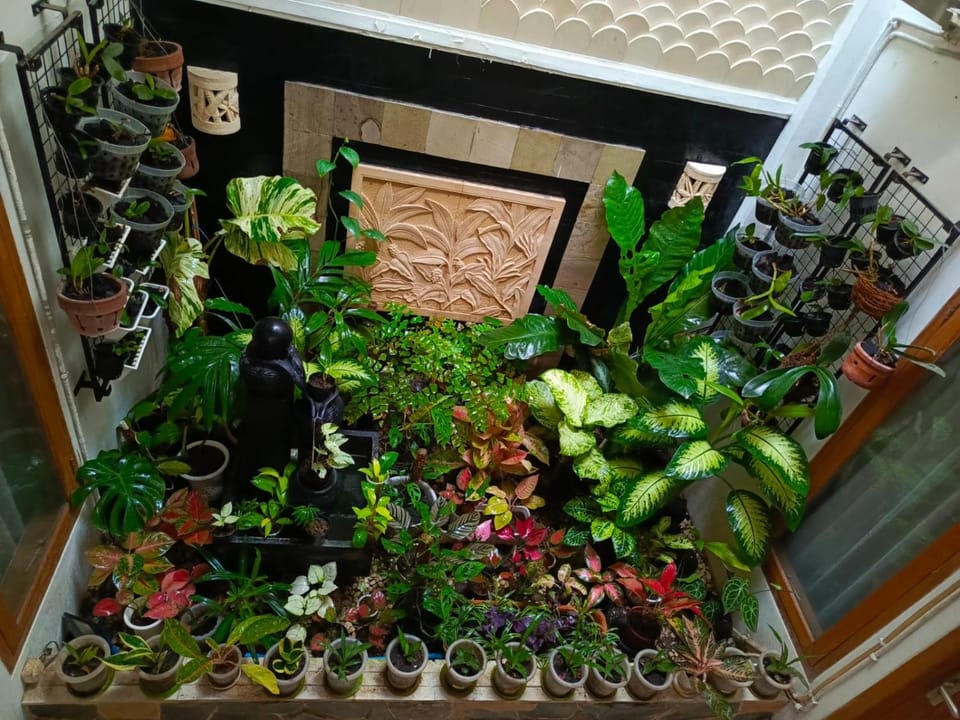 ChiGhaya Guest House Vacation rental in Indonesia