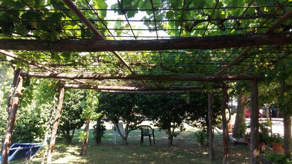 Restaurant/places to eat, Area and facilities