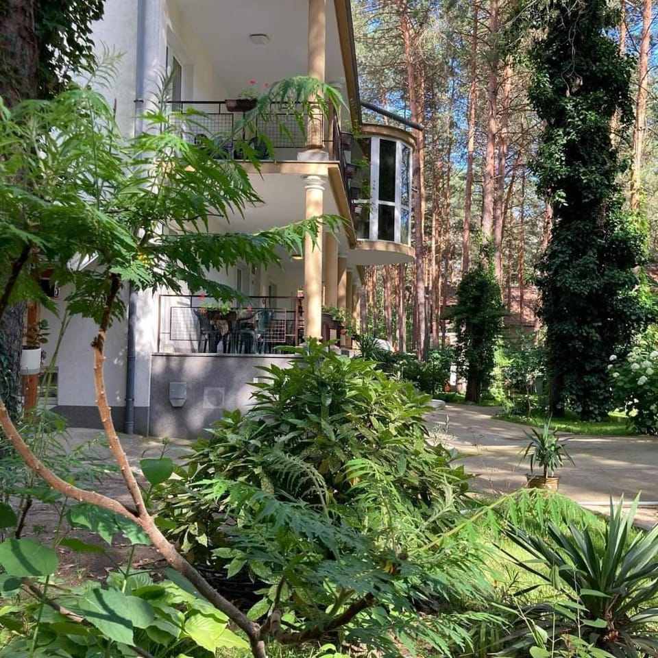 Property building, Garden