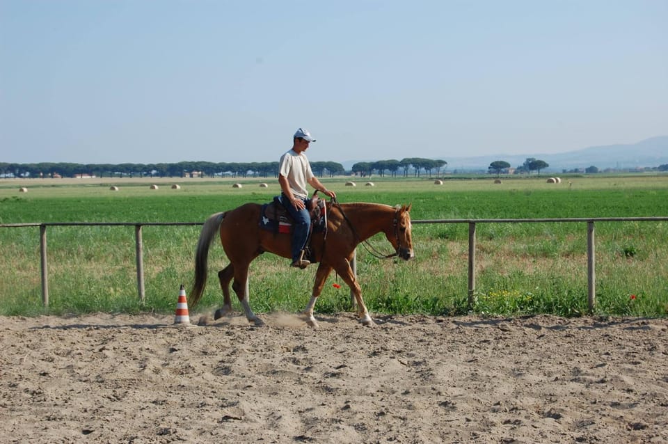 Day, Horse-riding