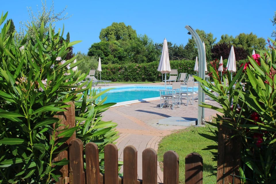 Day, Swimming pool
