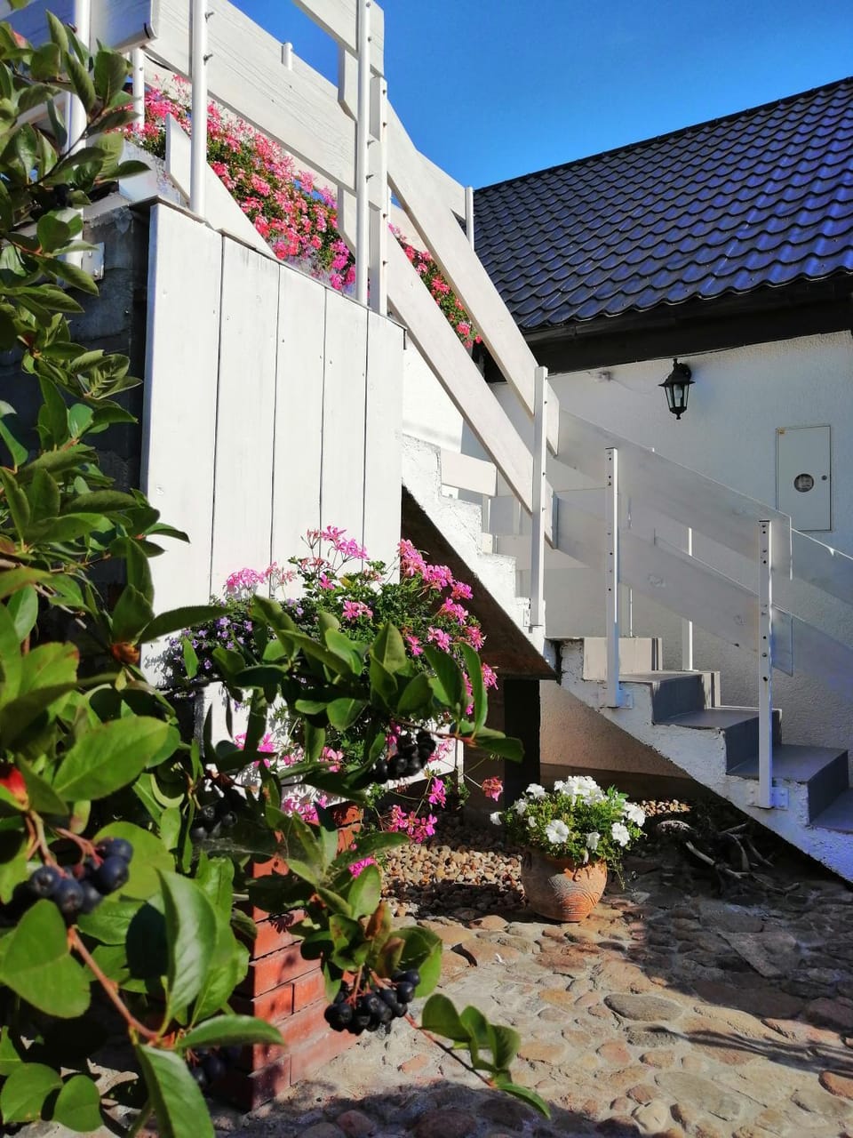 Zacisze Kalwy Vacation rental in Greater Poland Voivodeship