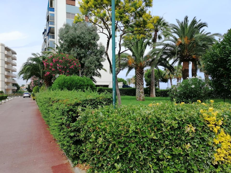 Garden view