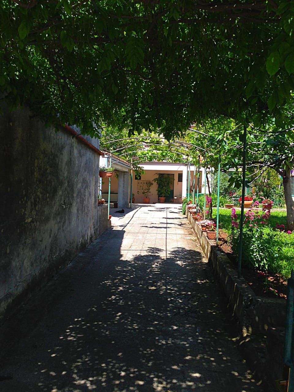Inner courtyard view