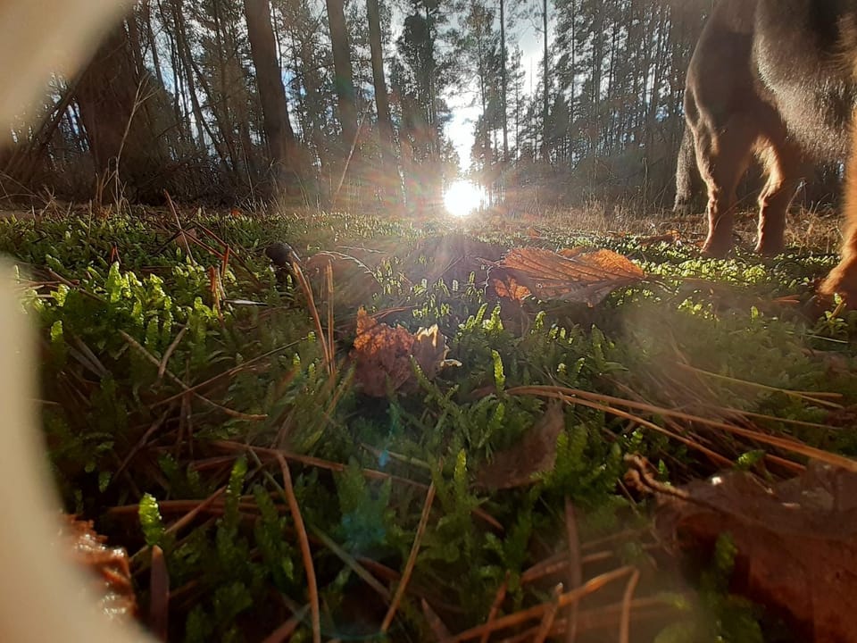 Natural landscape, Hiking