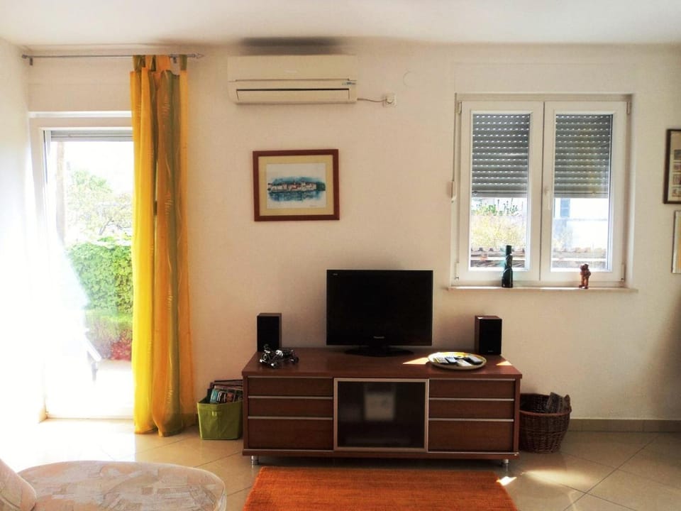 TV and multimedia