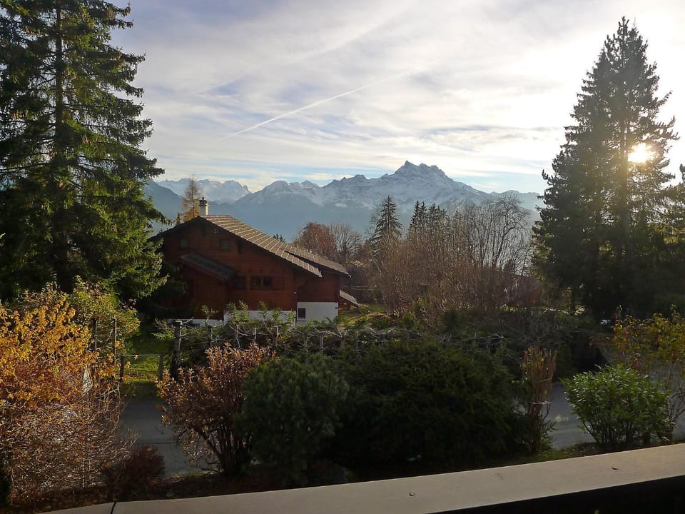 View (from property/room)