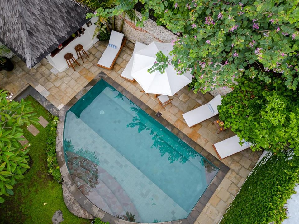 Garden, Pool view, Swimming pool, sunbed