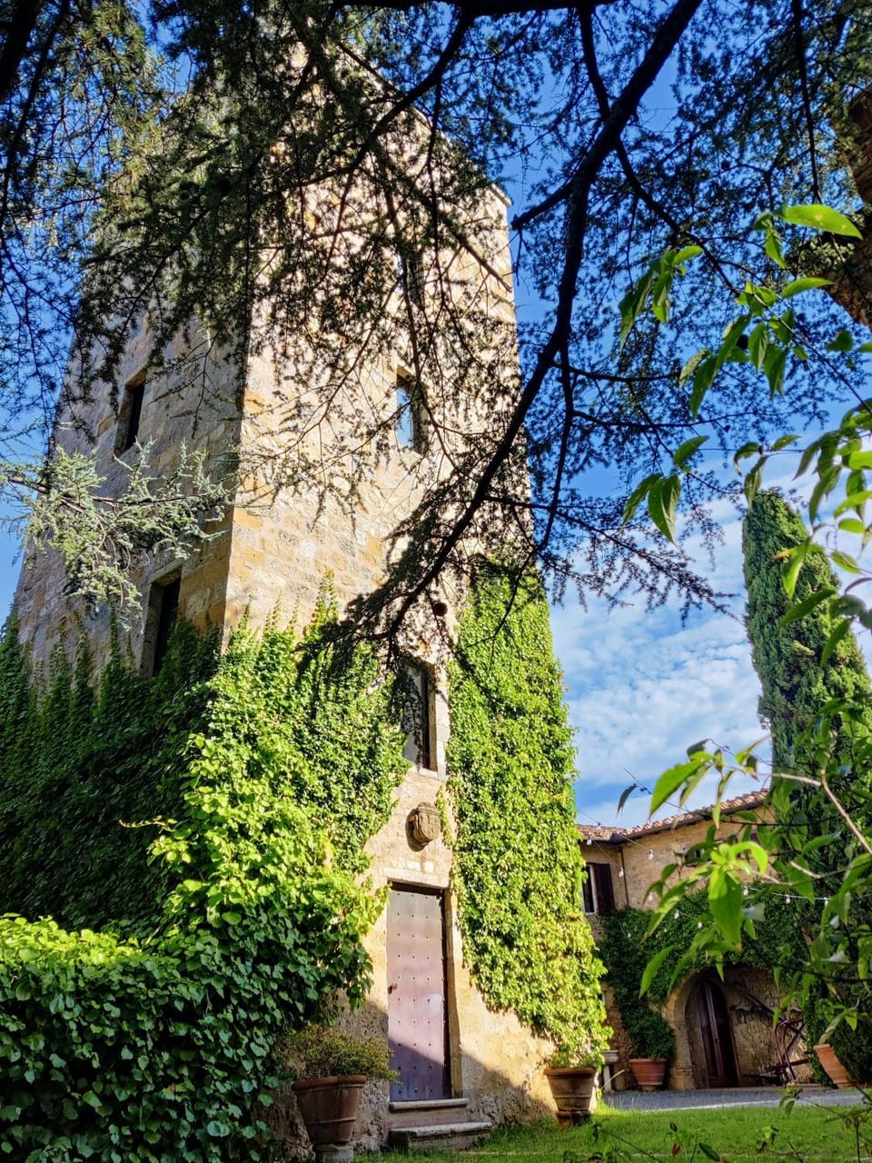 Property building, Garden