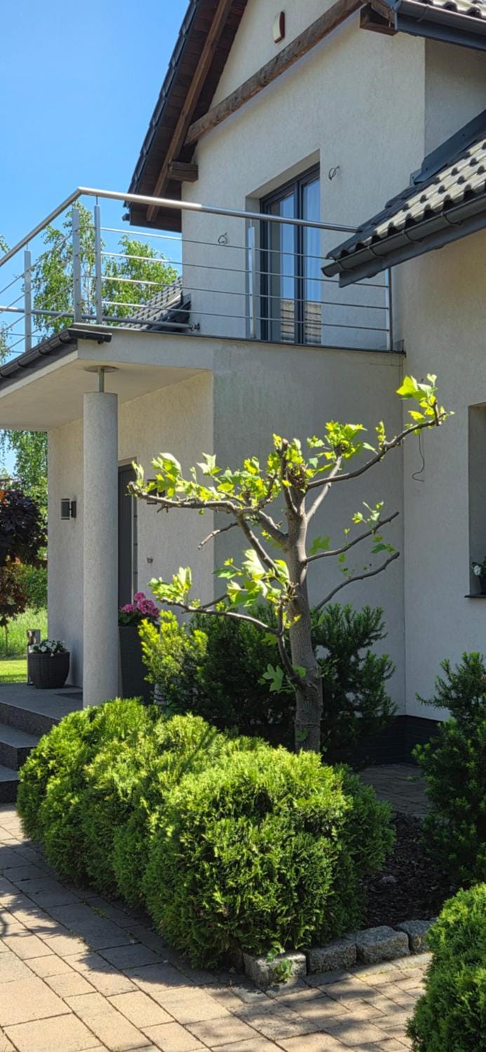 Property building, Spring, Garden