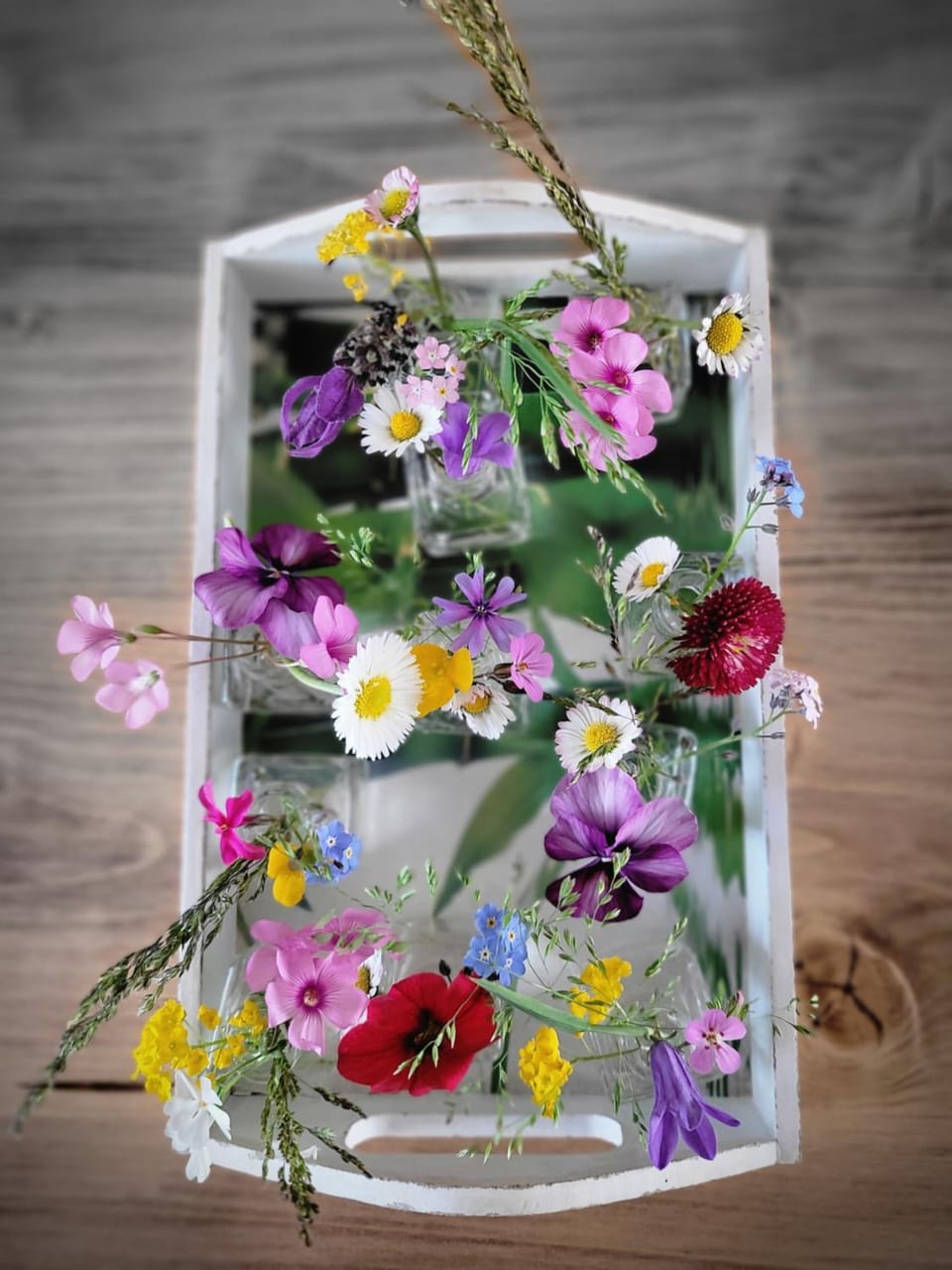 B&B Fischerstüble - adults only Bed and Breakfast in Hagnau am Bodensee