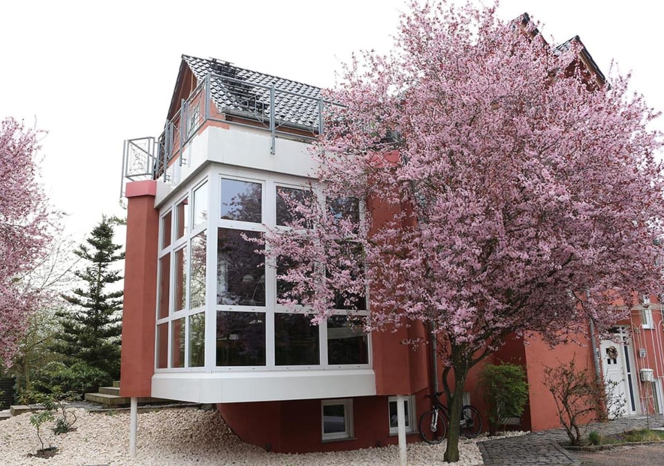 Facade/entrance, Spring